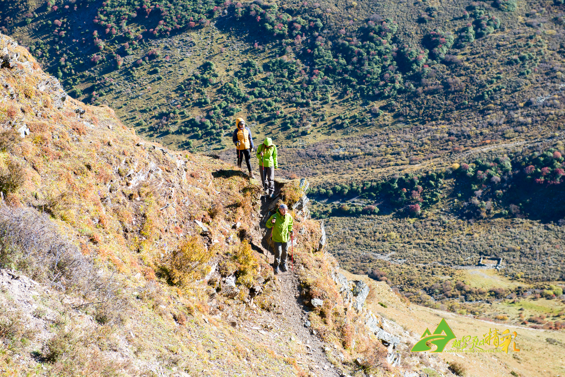 自然在全世 自然在全世