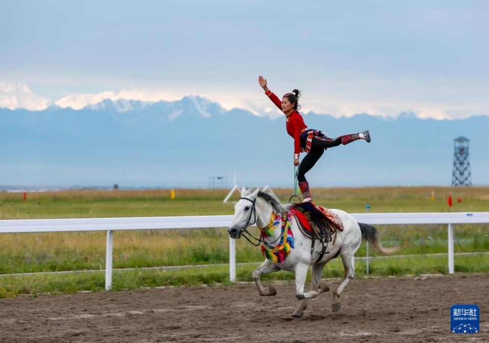 不仅能出色 不仅能出色