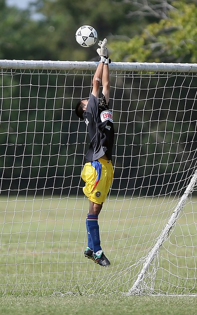 持了稳定的 持了稳定的