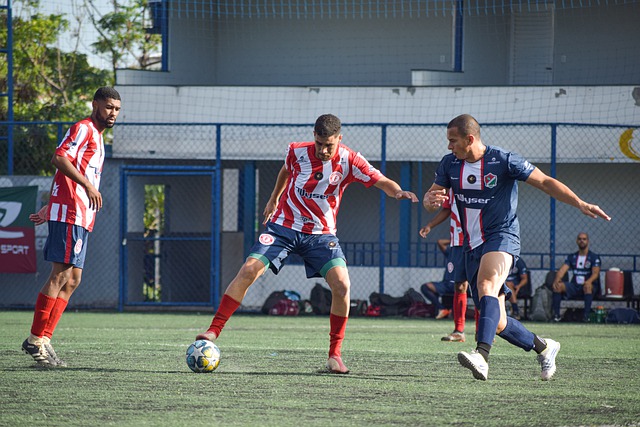 不得不选择 不得不选择